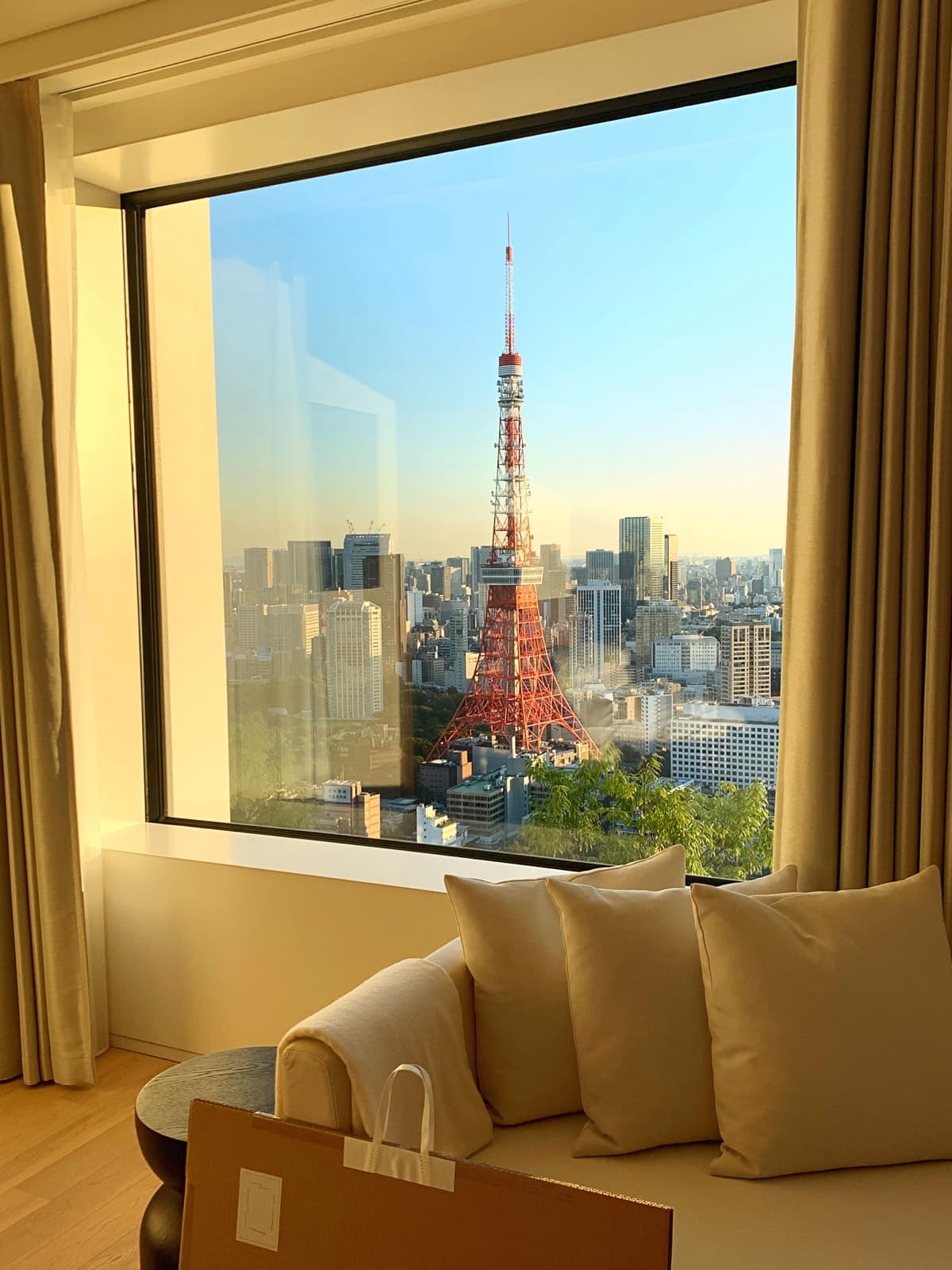 Tokyo property view 1